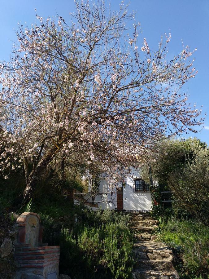 Casa La Liebrecilla Vendégház Ríogordo Kültér fotó